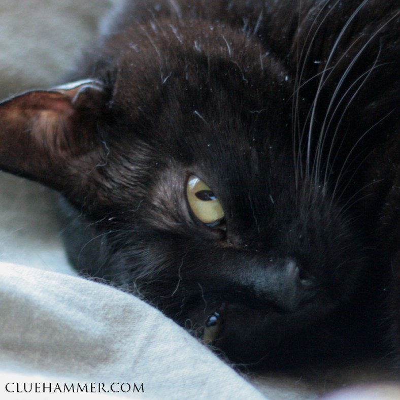 IMG_6843_square_1024