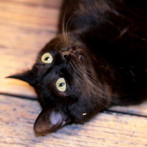 IMG_9128_retouched_1024